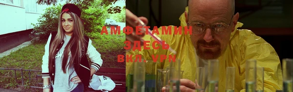 бошки Алексин