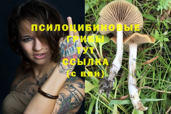 дмт Покровск