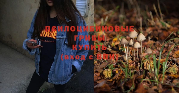 бошки Алексин